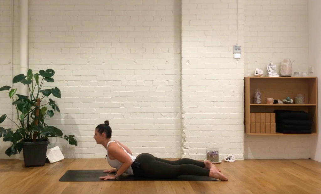 Pilates Align - Posture Work