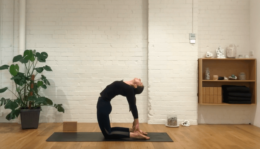Yoga Evolve - Move Your Spine