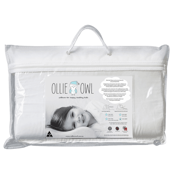 Ollie Owl Dream Adult Pillow