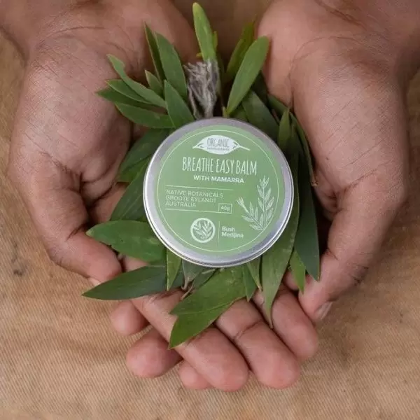 Bush Medijina Breathe Easy Balm with Mamarra 40g - Image 2