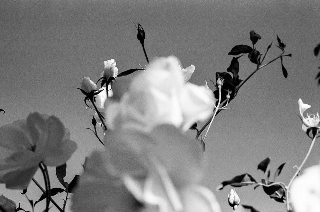 Master your emotional and anxiety program at Selph Health Studios Sydney