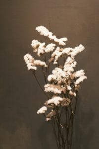 Winter is the season to store energy for most living creatures on earth, facilitating a slower pace and even hibernation for some. To reflect this aspect of winter, we should also be less active; slowing down to preserve our energy through inward practices such as yoga, tai chi and meditation.