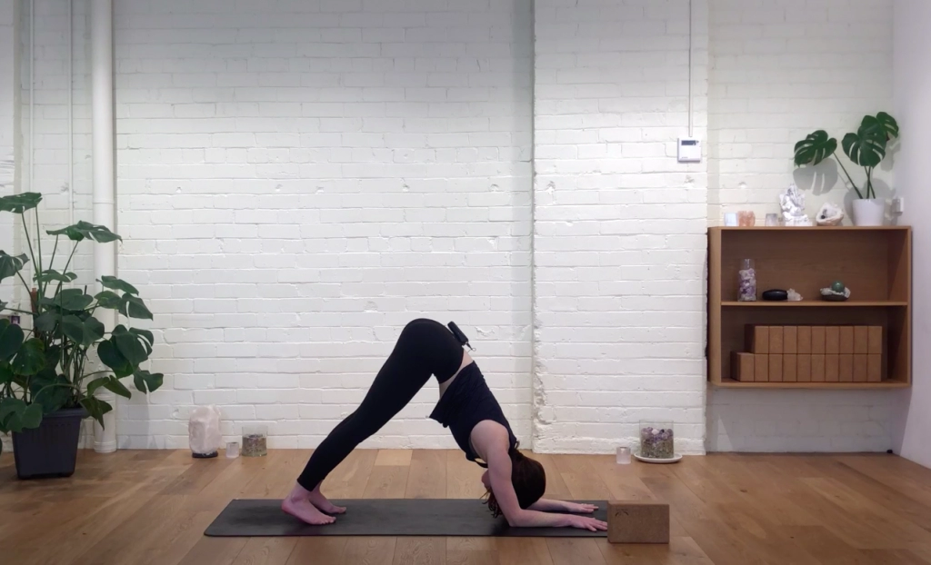 Yoga Evolve - Devotion Through Practice