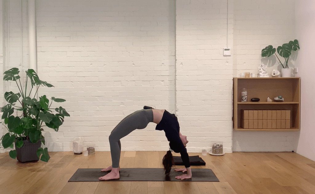 Yoga Evolve - Easing into Heart Openers