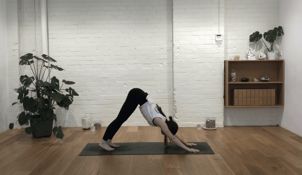 Yoga Evolve - Heart, Head & Throat
