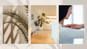NDIS specialist - Best practitioners for physiotherapy, exercise physiology, Massage and more all in the one place - sydney rosebery